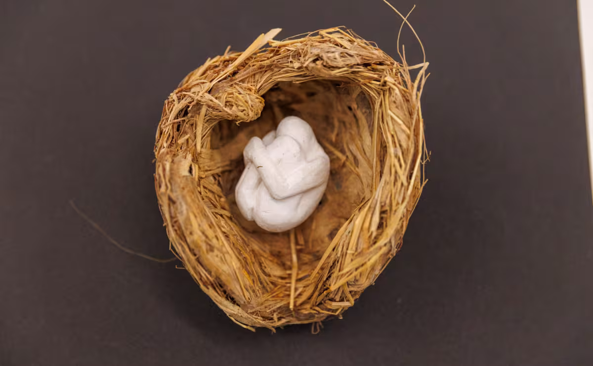N&auml;itus "Kuldav&auml;&auml;rt kunst"
